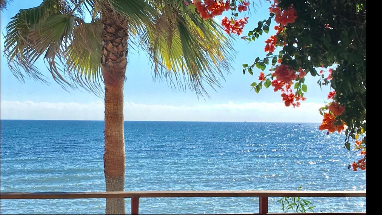 Mi Capricho B17 Beachfront Apartment Sitio de Calahonda Екстер'єр фото